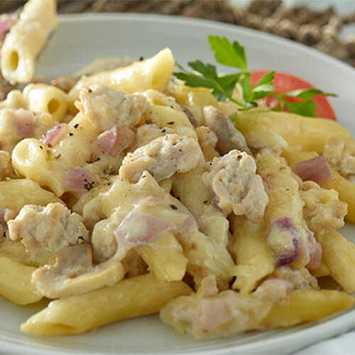 Turkey and penne pasta, combined with a creamy parmesan cheese sauce on a white plate.