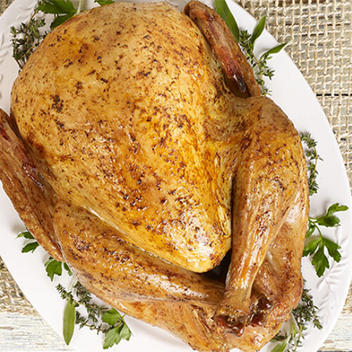 Holiday roasted turkey garnished with fresh herbs on a white plate.