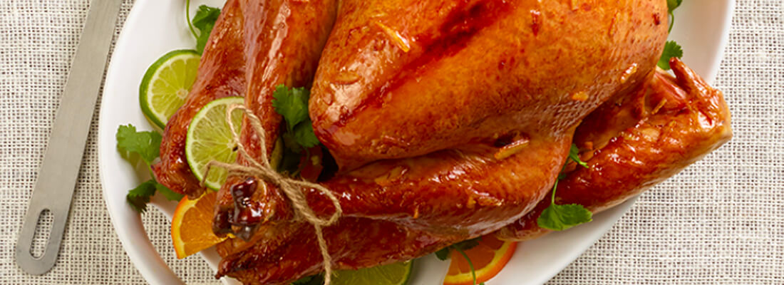 image-banner_jennie-o_recipe-category_ingredient--whole-turkey--1100x400