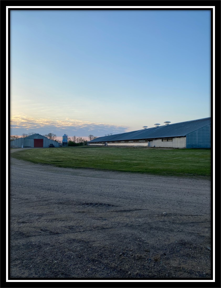image of a farm